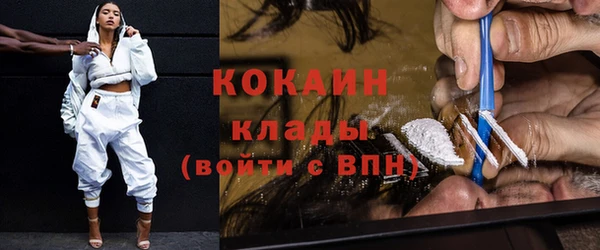 прущие грибы Белокуриха