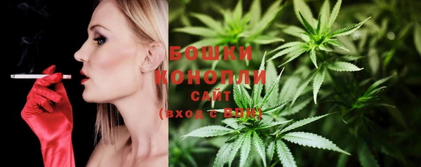 прущие грибы Белокуриха