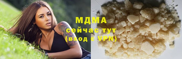 прущие грибы Белокуриха