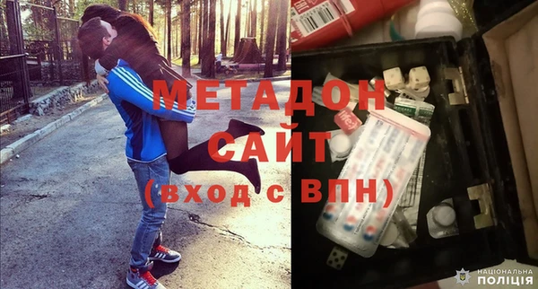 прущие грибы Белокуриха