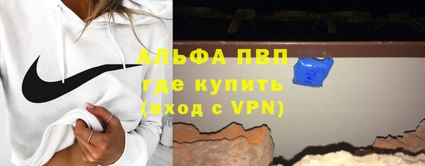 прущие грибы Белокуриха