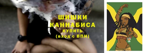 прущие грибы Белокуриха