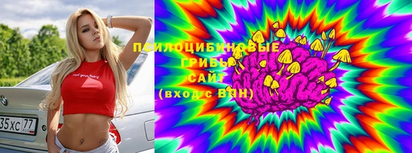 прущие грибы Белокуриха