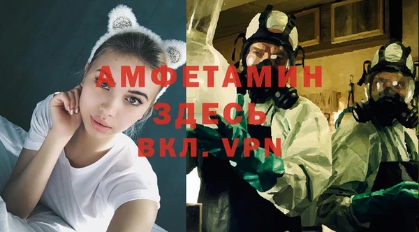прущие грибы Белокуриха