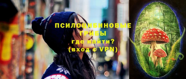прущие грибы Белокуриха