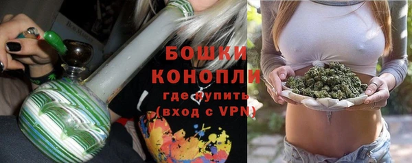 прущие грибы Белокуриха