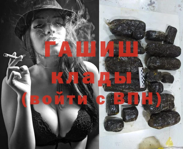 прущие грибы Белокуриха