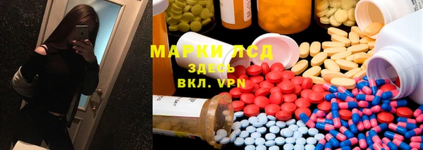 прущие грибы Белокуриха